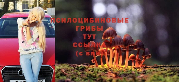 гидропоника Армянск